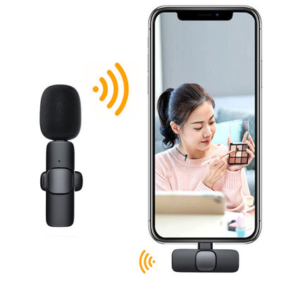 Noise Reduction Microphone
