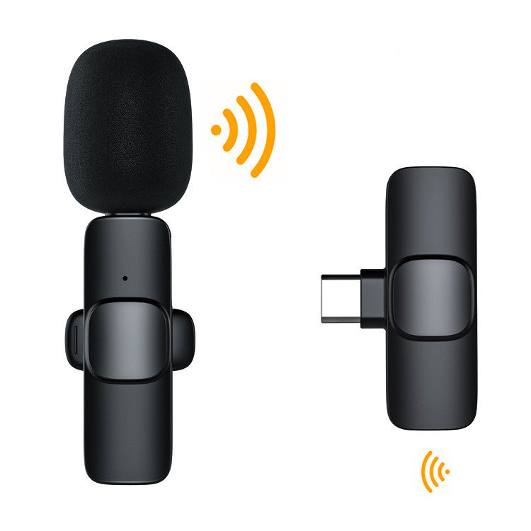 Noise Reduction Microphone